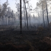 Así está la situación en el incendio de Portugal