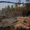 Así está la situación en el incendio de Portugal