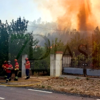 Fuera de control un incendio cerca de Extremadura: Portugal pide ayuda a España