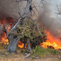 Incendio en Valencia de Alcántara: desalojadas varias edificaciones y 350 ha quemadas