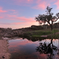 FONDENEX: “Es más fácil ver un Lince Ibérico que a un guarda de la Junta en el Parque de Cornalvo”