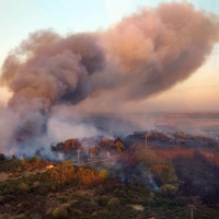 Nivel 1 de peligrosidad en un incendio declarado en Jaraíz de la Vera