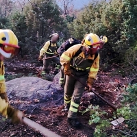 Extinguido el incendio forestal declarado en Collado de la Vera