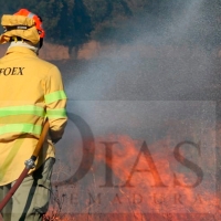 Exigen acciones inmediatas para los Bomberos del INFOEX