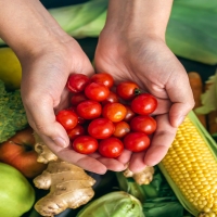 Alerta internacional: caso de salmonela en tomates cherrys