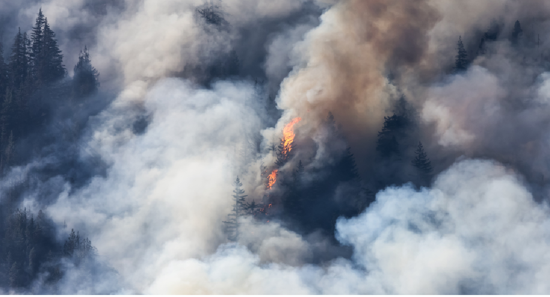 Alerta por riesgo de incendios forestales y altas temperaturas