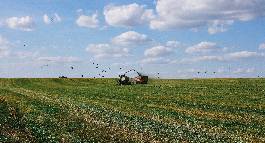 Ayudas para la modernización de explotaciones agrarias en Extremadura