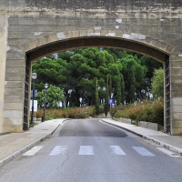 Modifican el recorrido de la línea Casco Antiguo con motivo de  Al Mossassa