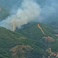 Amplio dispositivo para combatir un incendio forestal en Nuñomoral (CC)