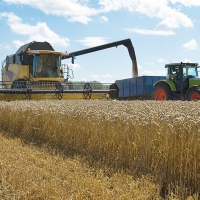 Extremadura exige al Ministerio de Agricultura dar un giro a los objetivos de la PAC