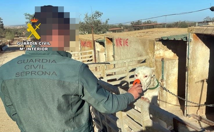 Delito de maltrato animal en Extremadura: mutilaciones a perros