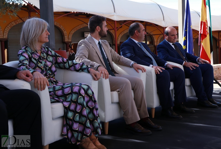 REPOR - Imágenes de la inauguración de la I Feria Cofrade en Jerez de los Caballeros