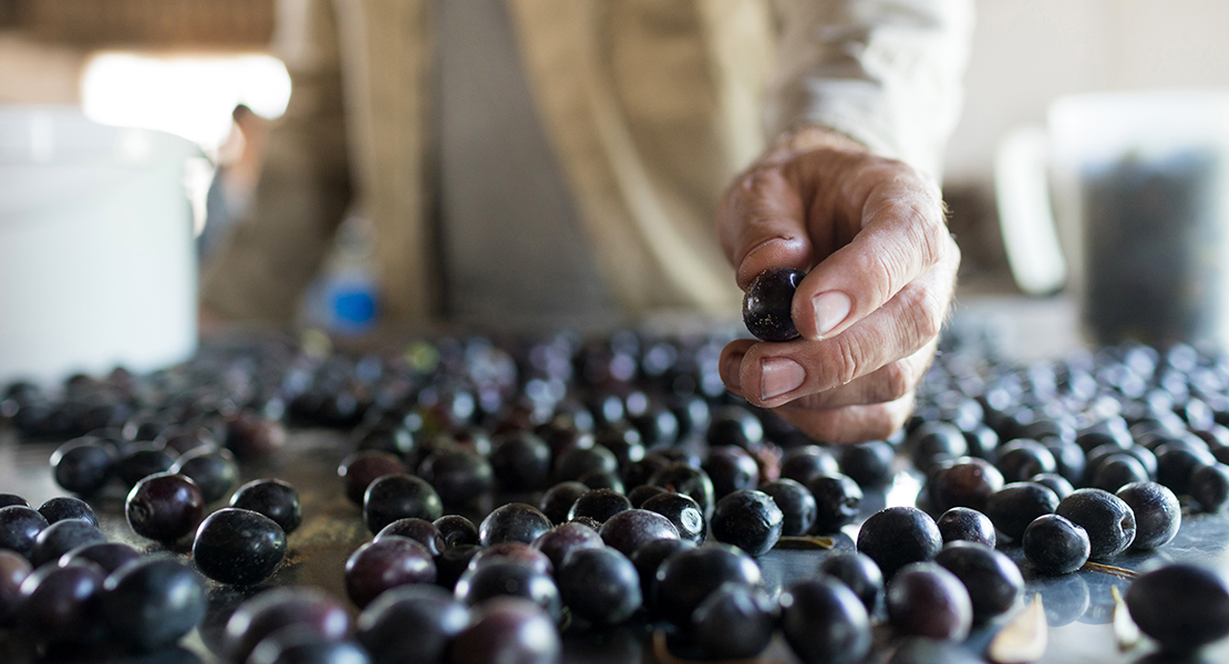 &quot;Las aceituneras del Norte de Cáceres están recibiendo coacciones&quot;