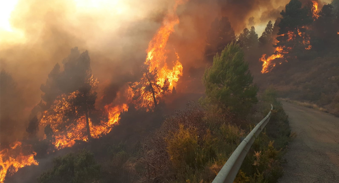 Este lunes comienza la época de peligro bajo de incendios forestales