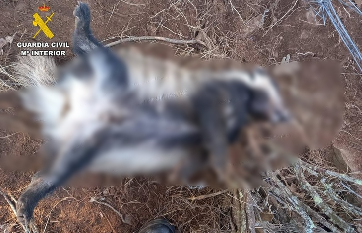 Detenidos tras usar lazos metálicos para cazar animales en Extremadura