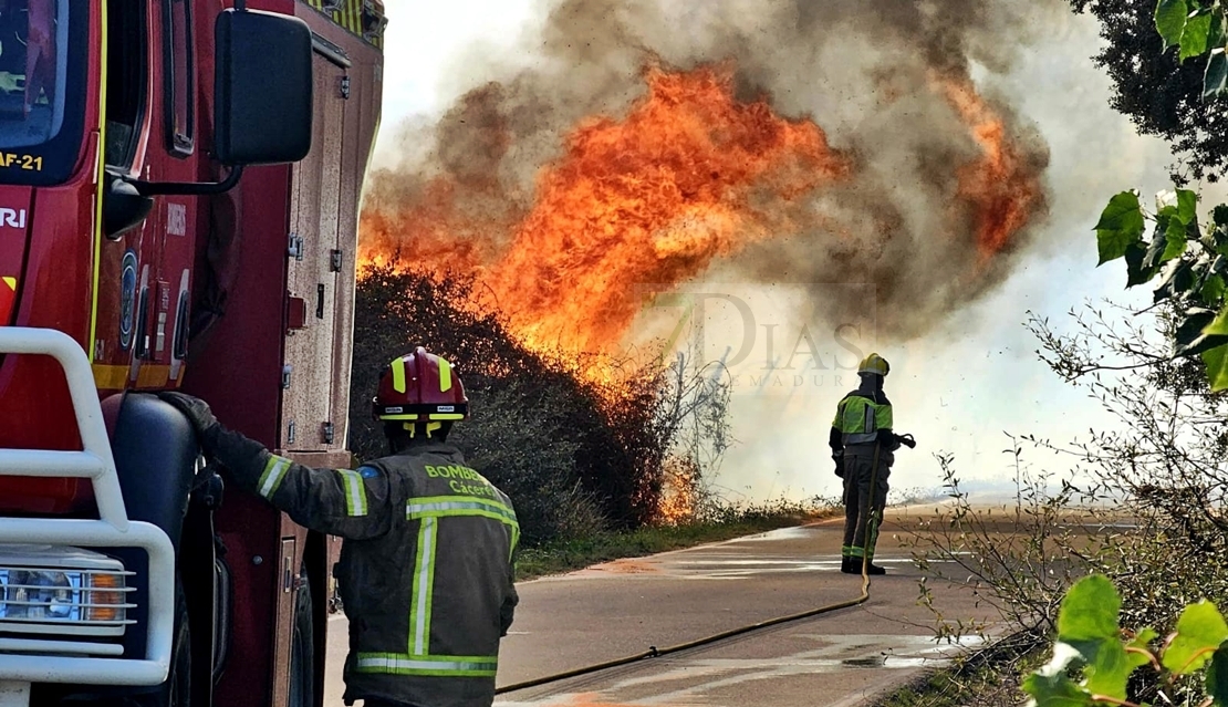 Incendio Forestal cerca de Galisteo (CC)