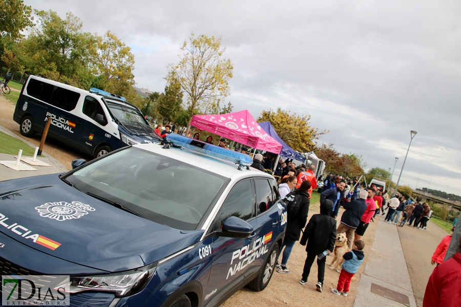 Éxito de público en la Carrera 091 2023 en Badajoz