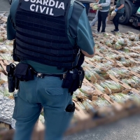 Detenidos por transportar marihuana entre lechugas