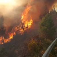 Este lunes comienza la época de peligro bajo de incendios forestales