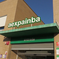 Aexpainba cumple 25 años luchando por la inteligencia límite