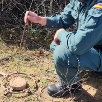 La Guardia Civil lleva efectuadas más de 900 actuaciones por delitos contra los animales