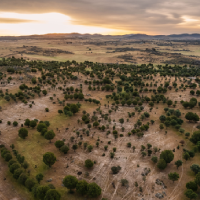 Solicitan al consejero una gestión responsable del medio natural en Extremadura