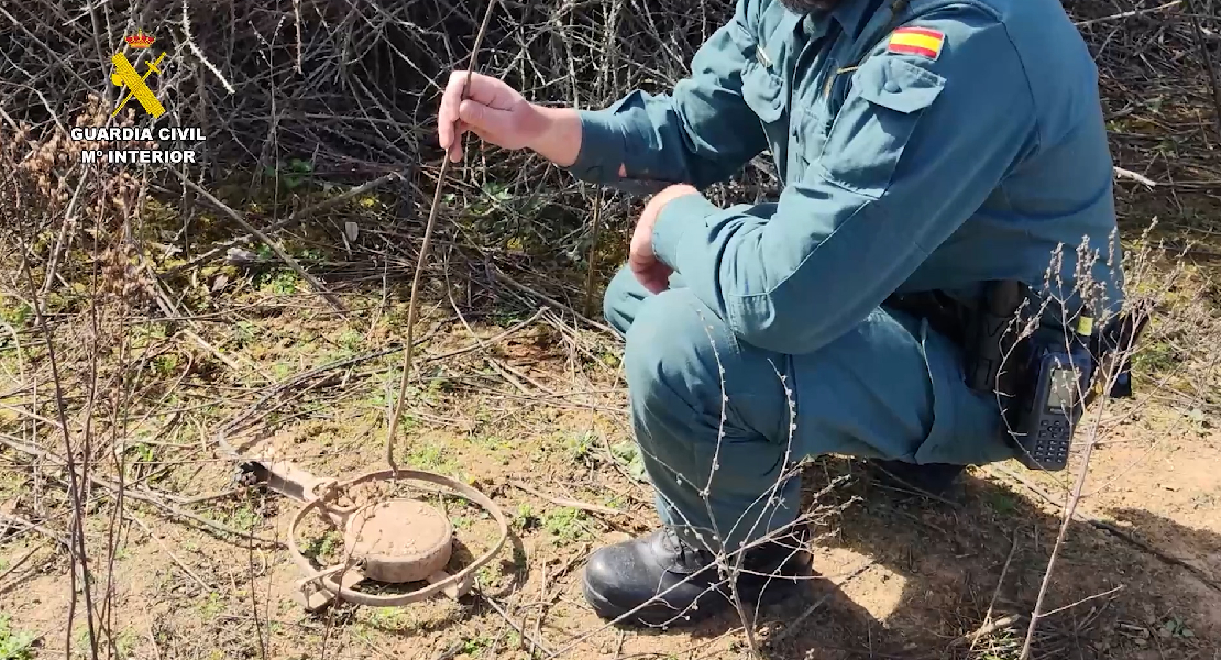 La Guardia Civil lleva más 900 actuaciones por delitos contra los animales en 2023