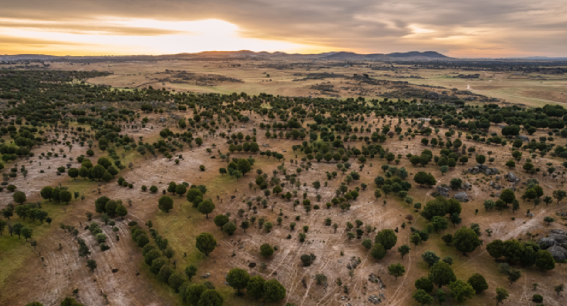 Solicitan al consejero una gestión responsable del medio natural en Extremadura