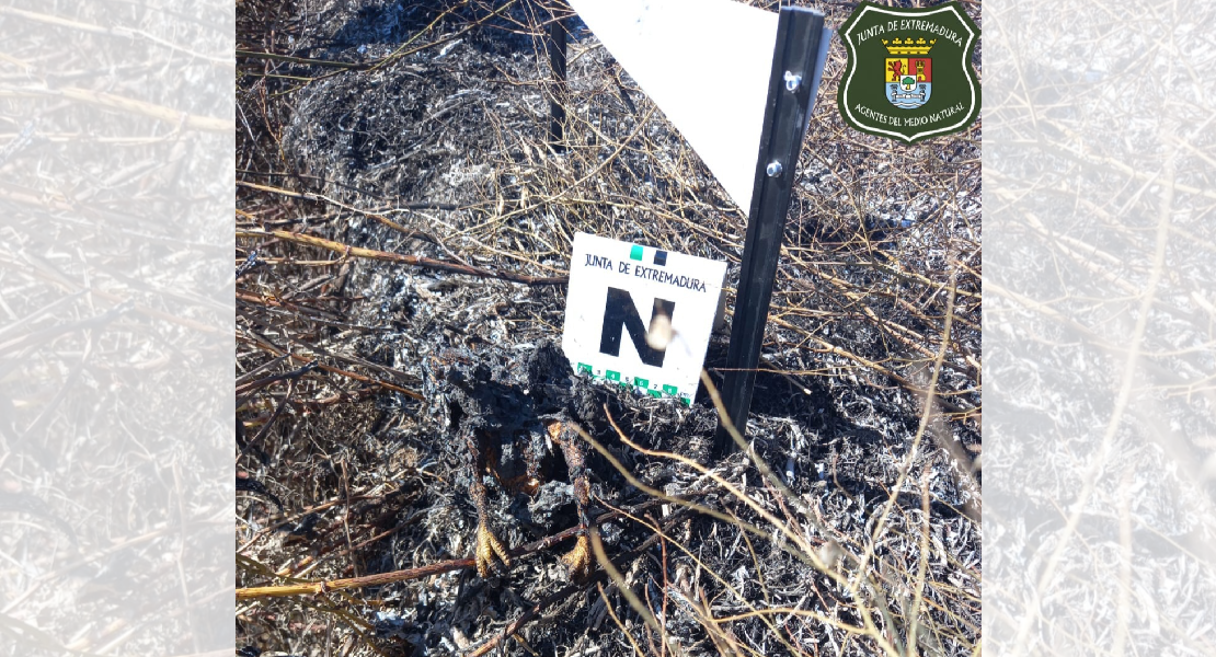 Esclarecen un incendio tras una colisión de un cernícalo con un tendido eléctrico