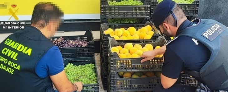 Investigan a 11 vecinos pacenses tras sustraer 17.000 kilos de fruta en Badajoz y Talavera la Real