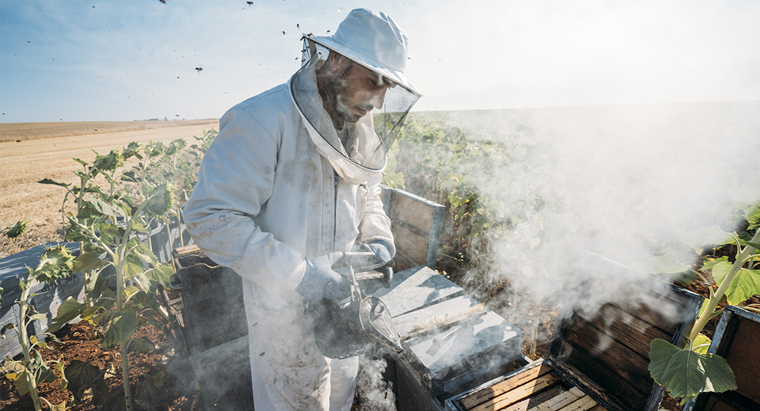 Asaja denuncia el “atraco” a los apicultores, tabaqueros y productores de pimentón de La Vera