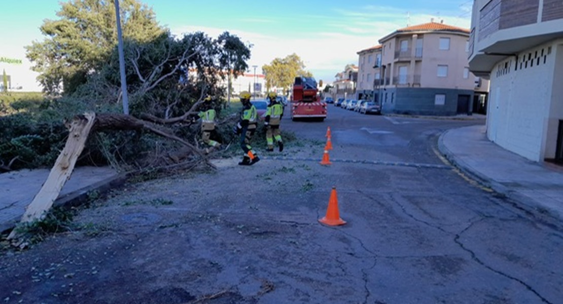 Bomberos del SEPEI trabajan en una veintena de intervenciones en Cáceres