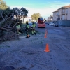 Bomberos del SEPEI trabajan en una veintena de intervenciones en Cáceres