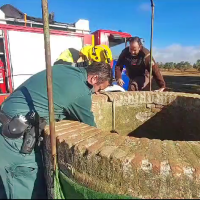 Cae un perro a un pozo de 10 metros de altura en un paraje extremeño