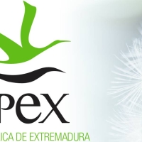 GPEX oferta dos puestos de trabajo en Mérida