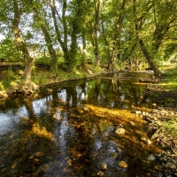 La importancia de las reservas naturales fluviales en la cuenca del Guadiana