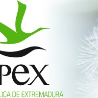 EMPLEO: se ofertan dos plazas de este sector en Extremadura