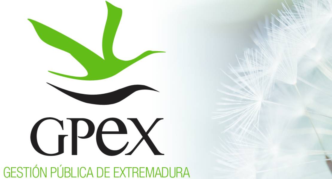 GPEX oferta dos puestos de trabajo en Mérida