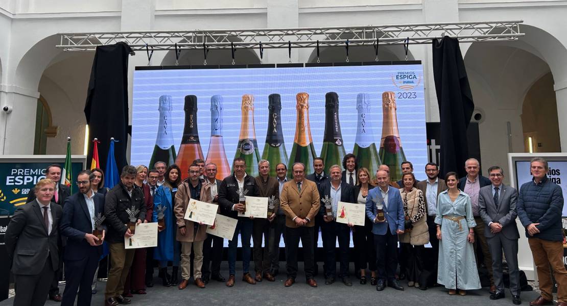 El Hospital Centro Vivo de Badajoz acoge los Premios Espiga