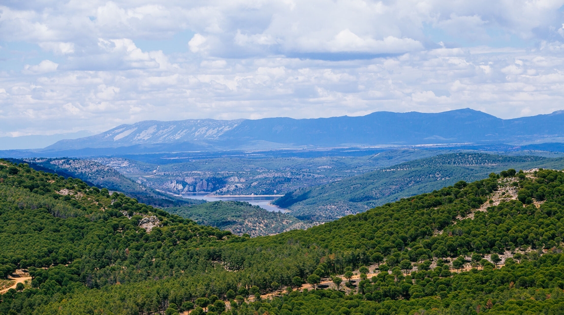 La Siberia celebra el Día Internacional de la Biosfera