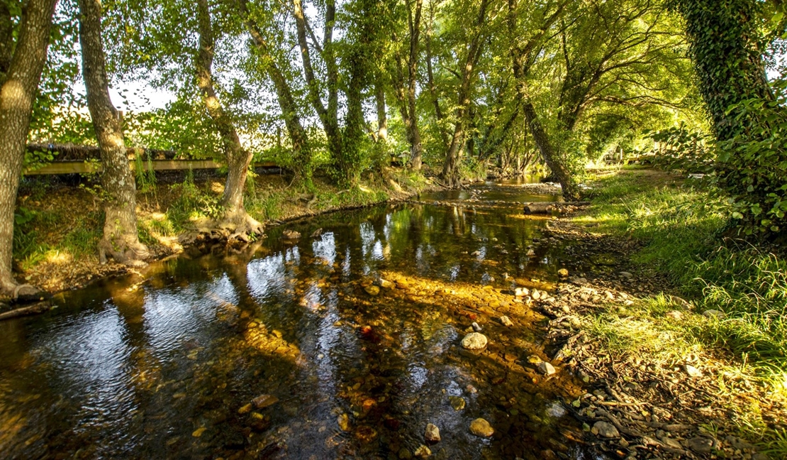 La importancia de las reservas naturales fluviales en la cuenca del Guadiana