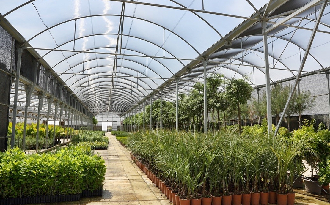 Campaña anual de suministro de plantas para zonas verdes municipales