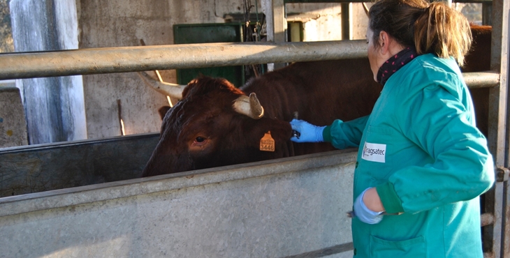 Aprueban el programa de sanidad animal para 2024 dotado con casi 12 M€