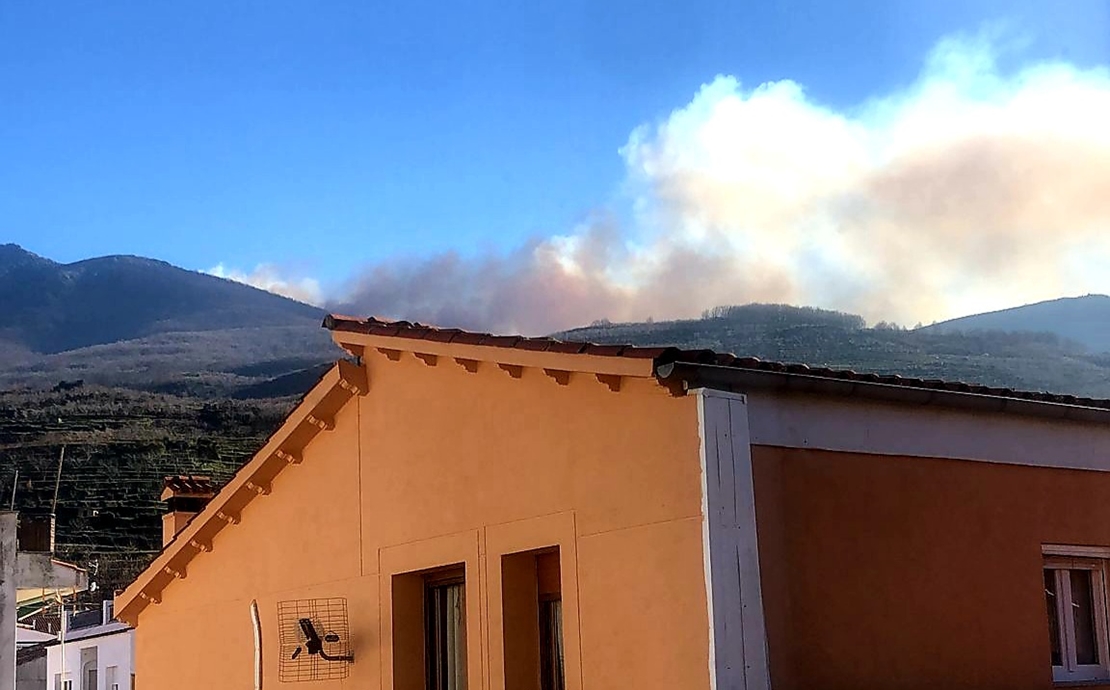 Efectivos trabajar para extinguir un incendio forestal en Piornal (Cáceres)