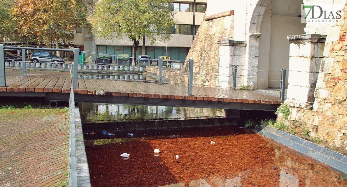 El penoso estado de Puerta Pilar: una vergüenza más del centro histórico de Badajoz