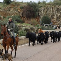 La UNESCO declara la trashumancia Patrimonio Cultural Inmaterial de la Humanidad