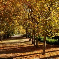 Así ha sido el otoño en Extremadura