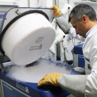 Más de 60.000 embriones congelados están abandonados en España