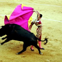 Reprochan al Ayto. de Cáceres los 360.000€ de dinero público destinados a la Tauromaquia