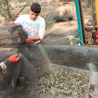 "2023 ha sido el peor año de la historia, con graves pérdidas"